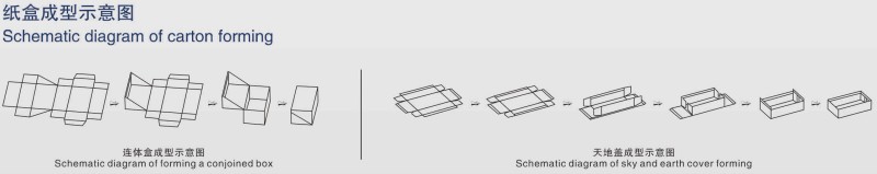 Multi-functional Carton Forming Machine